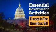 Essential Government Activities Funded In The $1.7 Trillion Omnibus Bill