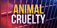 Woman charged with animal abuse for breaking dog’s leg