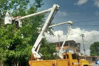 ¡Atención! CORPOELEC lanza masiva jornada de control de vegetación en 12 municipios de Falcón, Lara y Zulia