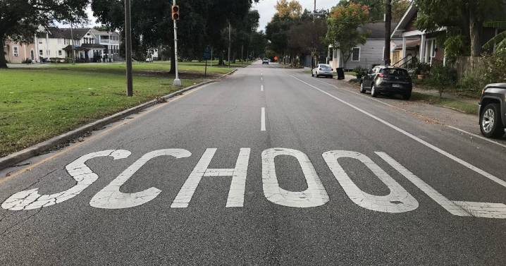New Orleans adding new school zone markings — but speeding cameras not yet activated