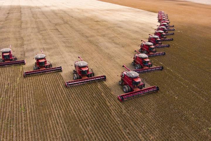 Opinión. Las lecciones del espejo brasileño que pueden impulsar el crecimiento del agro argentino