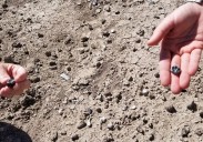 Hallan en Etiopía restos de una nueva especie de homínido coetáneo de los primeros humanos