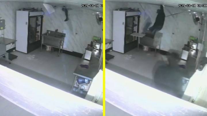 Ladrón entró a una carnicería y hasta comió jamón: Video capta a delincuente que cayó del techo tras intentar escapar