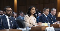 Gabbard slashing intelligence office workforce and cutting budget by over $700 million