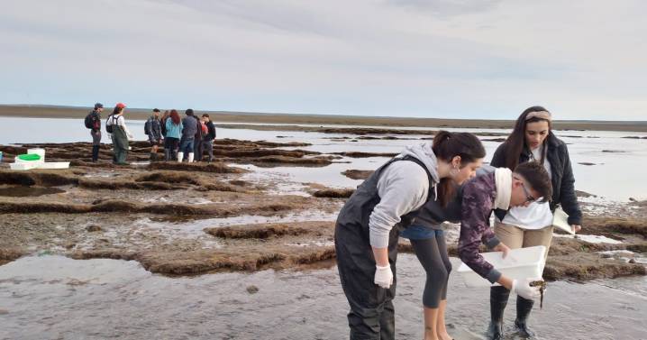 Streaming del CONICET: así es la carrera de la Universidad del Comahue que forma investigadores marinos