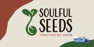 Soulful Seeds Garlic Sale