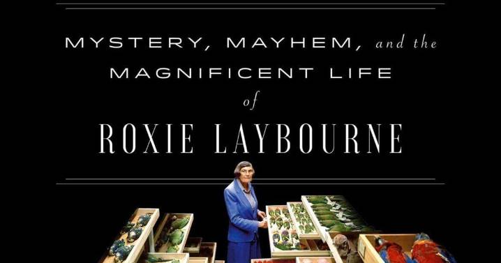 Review: Let us list the 20 ways ‘The Feather Detective’ will fascinate you