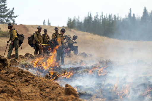 Border Patrol operation at wildfire in Washington state sparks criticism