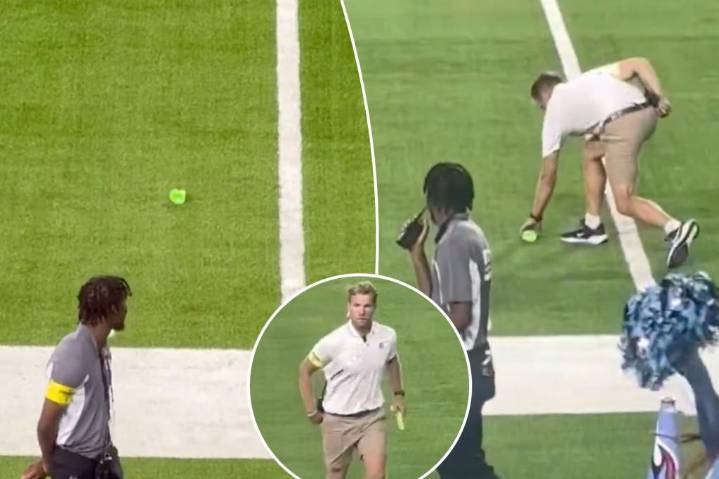 Sex toy thrown on field during Vikings-Titans game after WNBA fan arrests