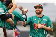 RedHawks acquire All-Star OF Jairus Richards as American Association playoffs near