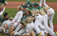 Taiwan takes 18th Little League title, but first since 1996