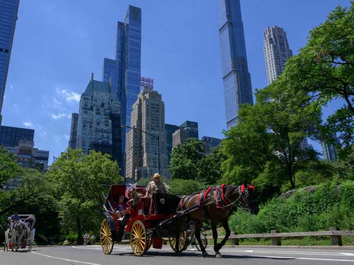 Tras 150 años de tradición, ¿fin de los carruajes a caballo en Central Park?
