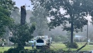 First day of SC school canceled after tree knocks out power