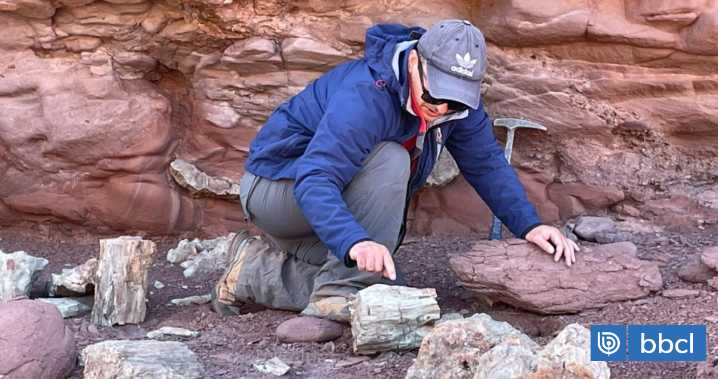 ¿Estudiar paleontología en Chile? Qué se sabe de la carrera que se dictará por primera vez en 2026