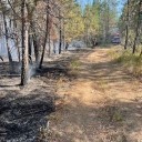 Brush fire quickly contained near Newport Highway