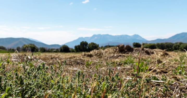 Church begins work at Heber Valley Utah Temple site as opponents appeal to Utah Supreme Court