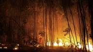Cuidado, California: las zonas en las que podría haber incendios forestales por el calor extremo