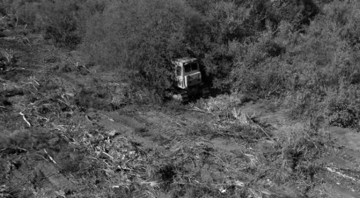 Los estudios de impacto ambiental quedarán en manos del municipio