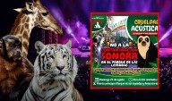 Convocan protesta contra Arena de Lima: exigen cancelar obra por amenaza a fauna y patrimonio en Parque de las Leyendas