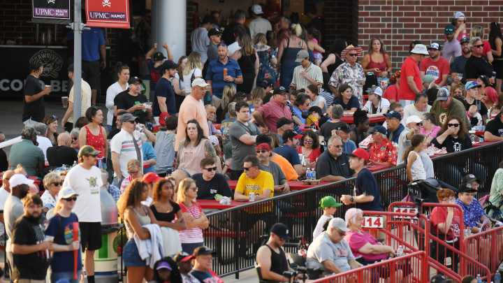 Erie SeaWolves host cat-themed promotion during doubleheader in August
