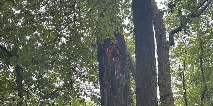 Crews battle brush fire at Kenny Park in Hartford