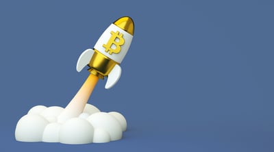 1 Top Cryptocurrency to Buy Before It Soars 1,974%, According to Cathie Wood