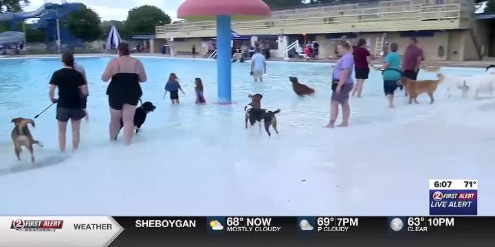 Menasha police, parks & recreation department partner for ‘Doggie Dip’ fundraiser