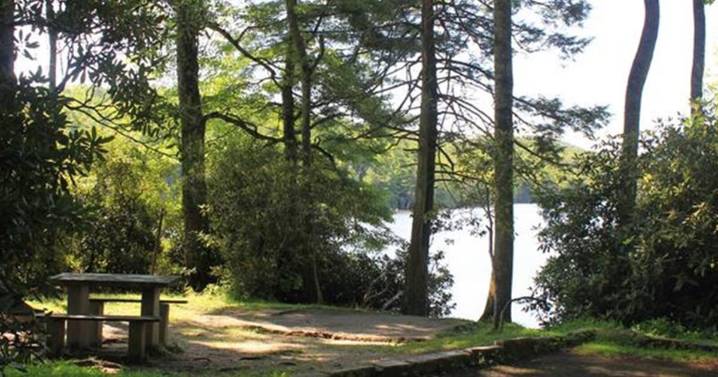 Blue Ridge Parkway opening campsites at Julian Price Campground soon