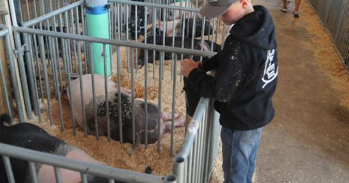 'Truckloads of Fun' roll into Bonner County Fair