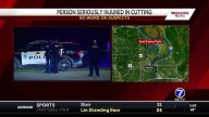 One person seriously injured in cutting