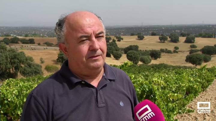 Las bodegas de Méntrida no irán a la fiesta del vino en protesta por el mal estado de los caminos