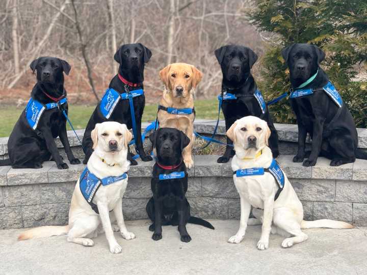 No Puppies for Child Sex Traffickers: Ghislaine Maxwell Denied Key Perk