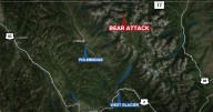 Backcountry hiker hurt by bear at Glacier National Park