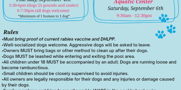 Here’s where dogs can swim before pools close for the season