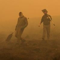 Record EU wildfires burnt more than 1 mn hectares in 2025: AFP analysis