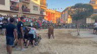 Herido tras recibir un pisotón de una vaca en la cabeza