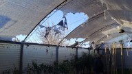 Incendio en un vivero de avenida De Tomaso
