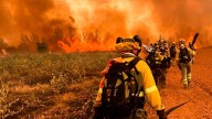 El fuego mantiene cortadas cuatro carreteras en León