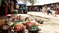Artesanos de 16 estados participarán en la Feria de Tintorero que inicia el 27 de agosto