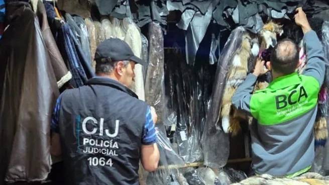 Secuestran tapados y ropa hecha de pieles de animales valuada en $355 millones
