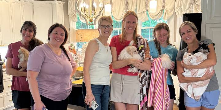 Pet rescue caring for dozens of dogs after Charlotte pet store’s license revoked