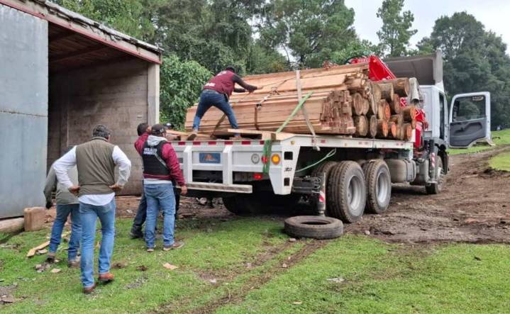 Sedema realiza operativo interestatal para proteger al Bosque de Agua; realizan cateos en Ocullan, Estado de México