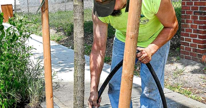 Changes in Cumberland will improve town’s resilience to heat, flooding