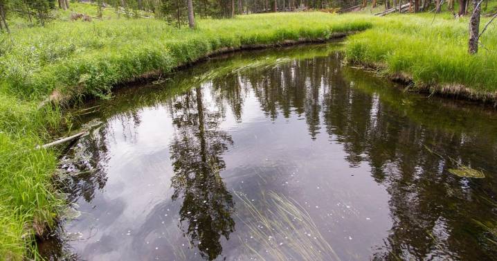 Yellowstone National Park partially reopens fishing on select rivers