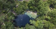 Florida's once-pristine springs threatened by pollution, development and climate change
