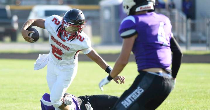 2025 season preview: Scouting the Vermilion Valley Conference