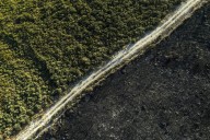Descienden los incendios en España con la caída de lluvias en las zonas afectadas