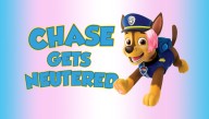In Controversial New 'Paw Patrol' Episode, Chase Gets Neutered To Become Transgender