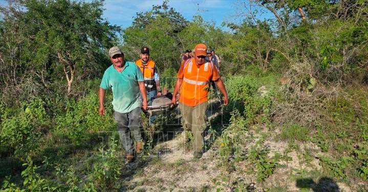 Localizan con vida a adulto mayor extraviado en la sierra de Ocampo