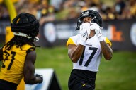 Dolphins cut ties with former Michigan, Steelers wide receiver